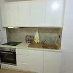 Hasani 아파트